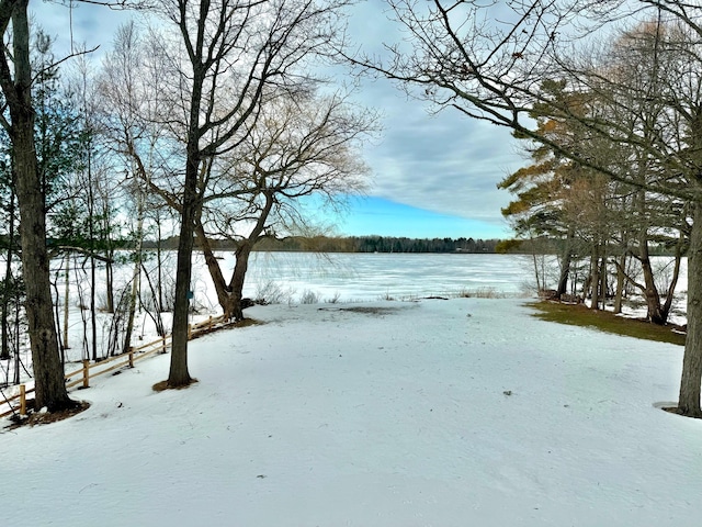 view of yard layered in snow