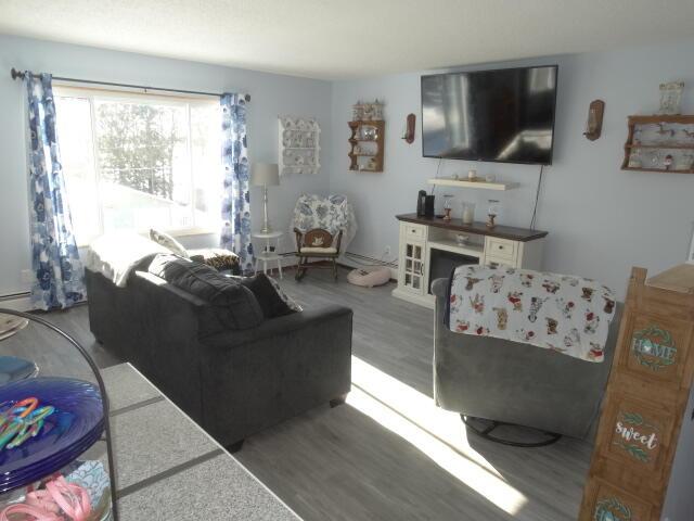 living room with wood finished floors