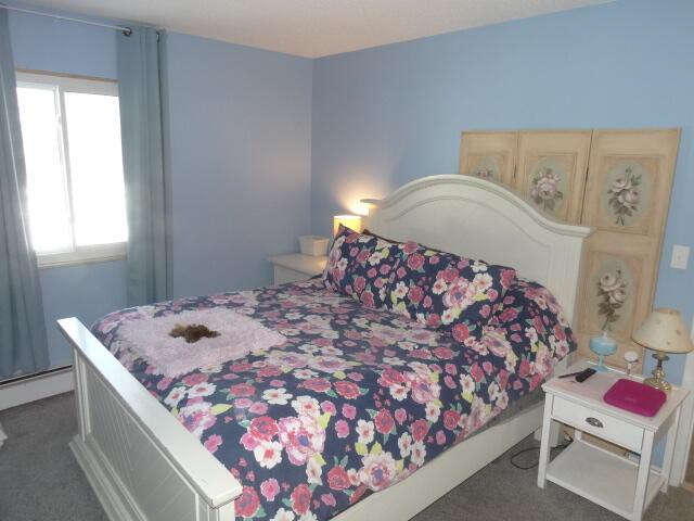 bedroom with a baseboard heating unit and carpet floors