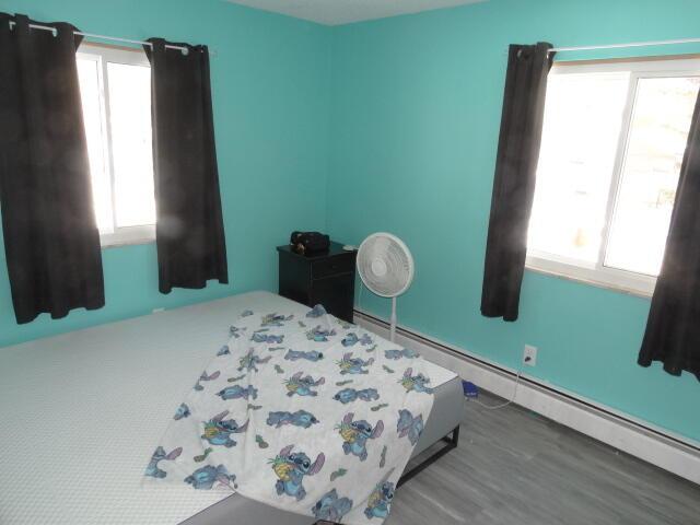 bedroom with multiple windows, baseboard heating, and wood finished floors