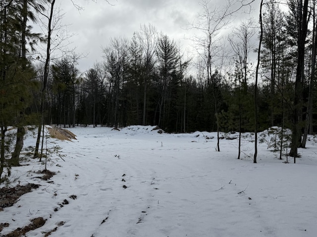 Listing photo 3 for LOT20 Indian Oaks, Prudenville MI 48651