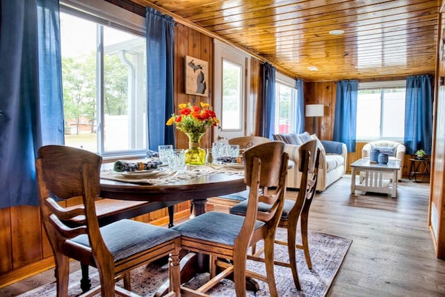 dining space with wooden ceiling, wooden walls, and wood finished floors