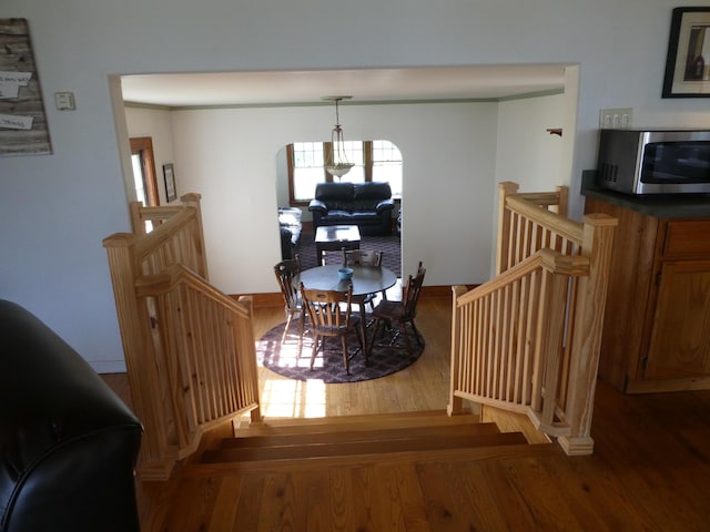 staircase with dark hardwood / wood-style flooring