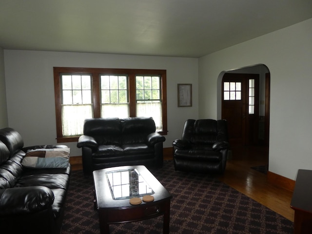 living room with dark hardwood / wood-style floors