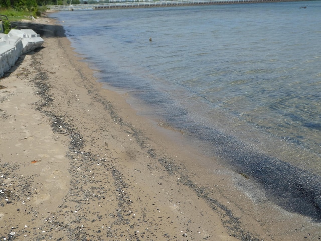 view of water feature with a beach view