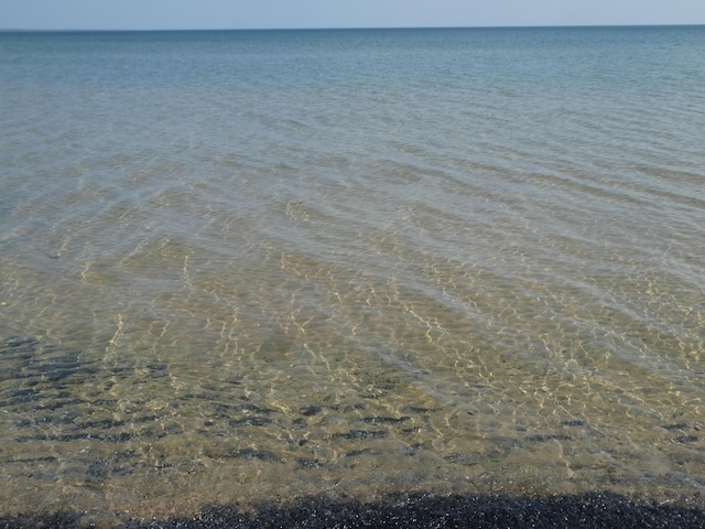 view of water feature