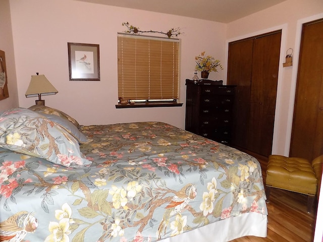 bedroom featuring a closet and hardwood / wood-style flooring