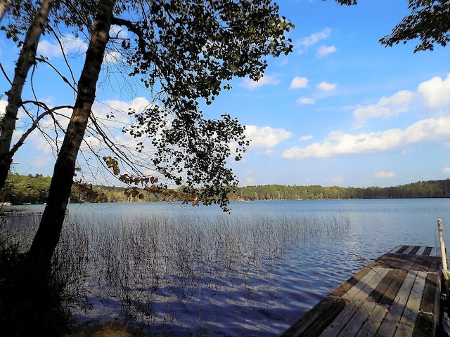 view of dock with a water view