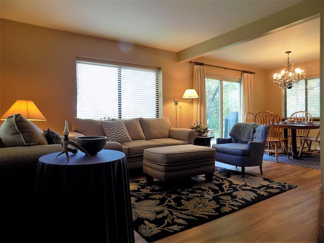 living room featuring dark hardwood / wood-style floors and an inviting chandelier