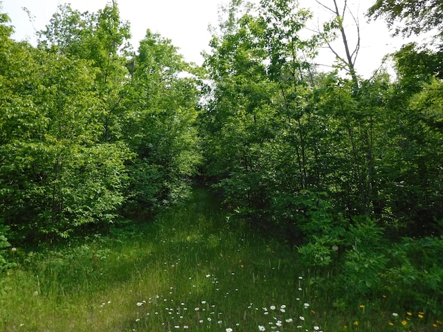 Listing photo 3 for E Grandlake Road Lot 16, Presque Isle MI 49777