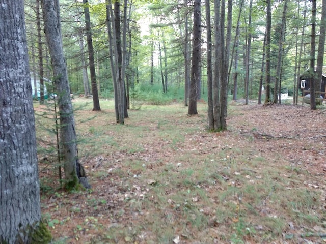 Listing photo 3 for 19040 Center Avenue Lot 23, Atlanta MI 49709