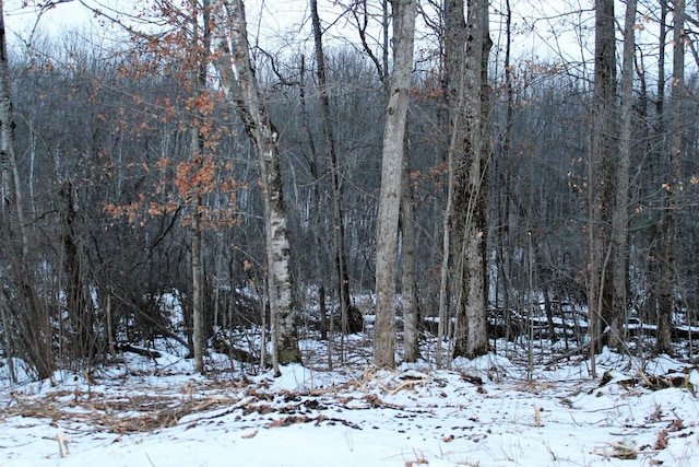 Listing photo 3 for Chippewa Trail Lot 91, Johannesburg MI 49751