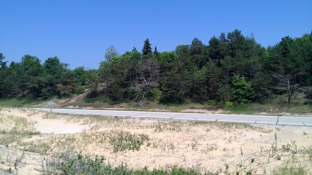 Listing photo 3 for W US-2 Parcel 4, Brevort MI 49760