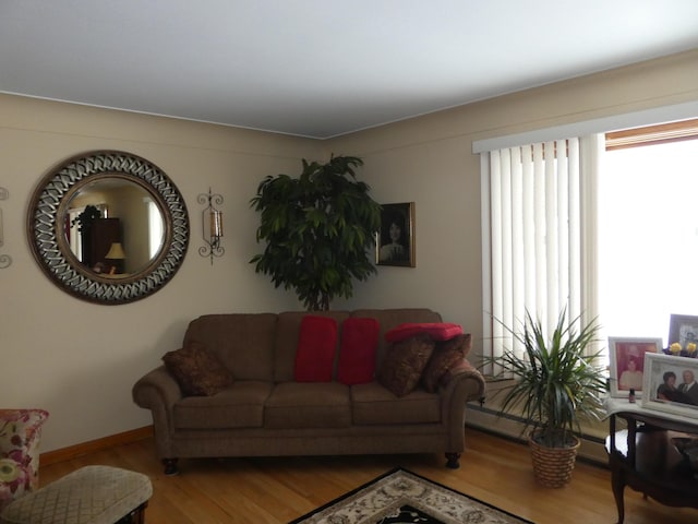 living room featuring light hardwood / wood-style floors