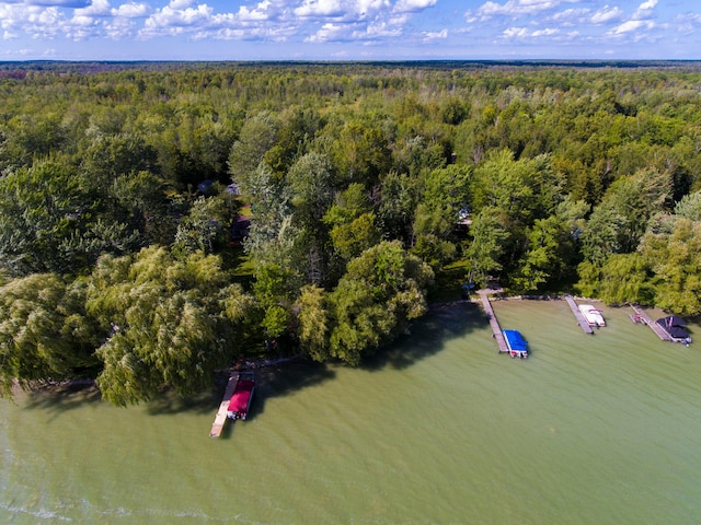 Listing photo 3 for NHN Shubert Highway, Alpena MI 49707