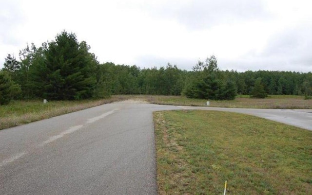 Listing photo 2 for 6487 Airport Crossing Road Unit 3, Pellston MI 49769