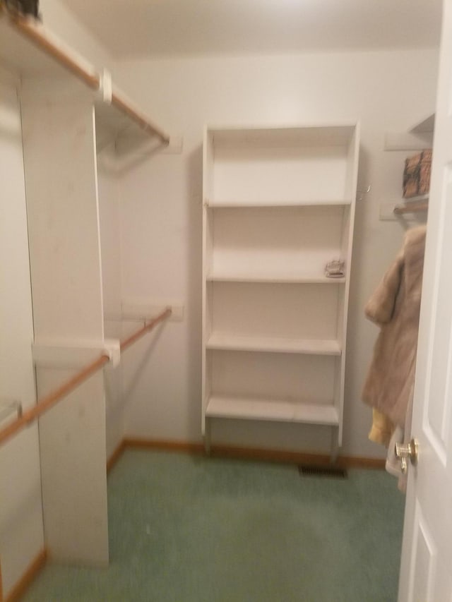 walk in closet featuring carpet floors