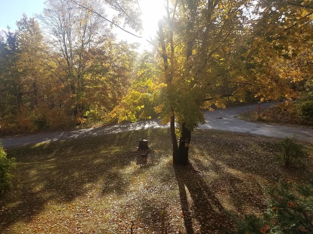 view of road