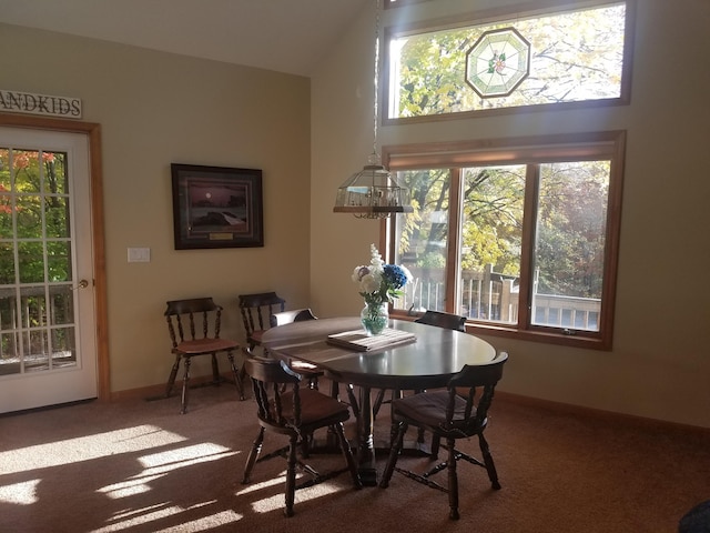 carpeted dining room featuring a healthy amount of sunlight