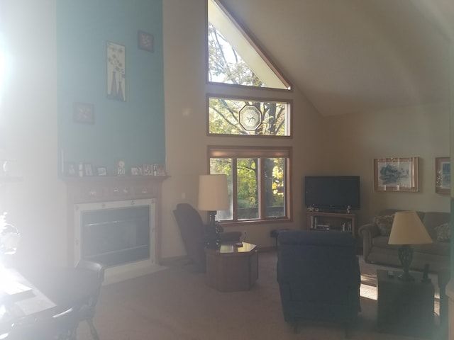 carpeted living room with high vaulted ceiling