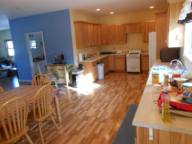 kitchen with light hardwood / wood-style flooring, sink, and white appliances