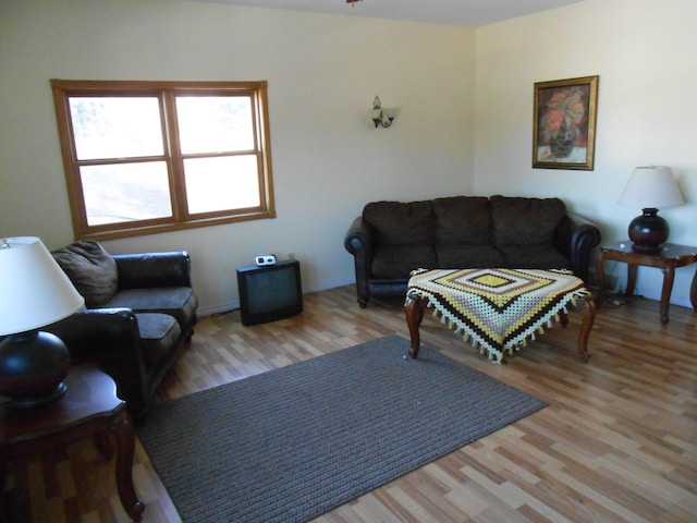 living room with light wood-type flooring