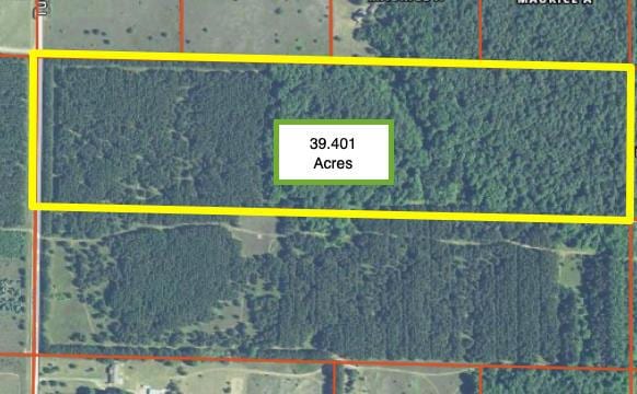 Tuckerrd 39.4acres, Elmira MI, 49730 land for sale