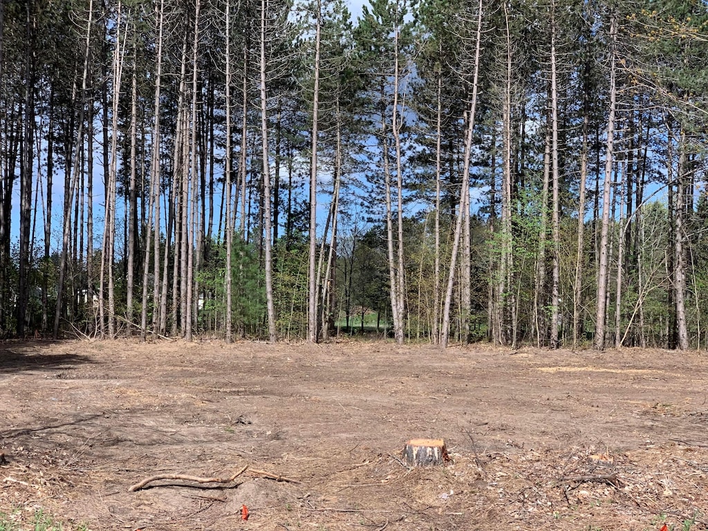 view of local wilderness