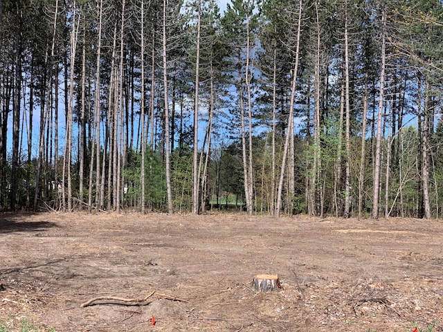 view of local wilderness