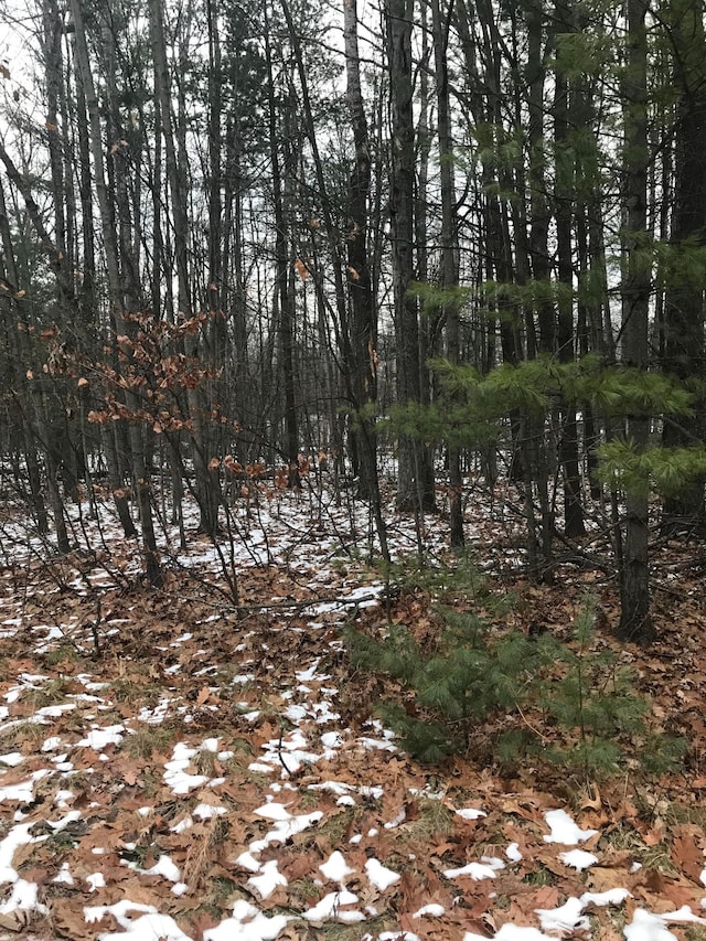 Teaberry Lane Lot 649, Houghton Lake MI, 48629 land for sale