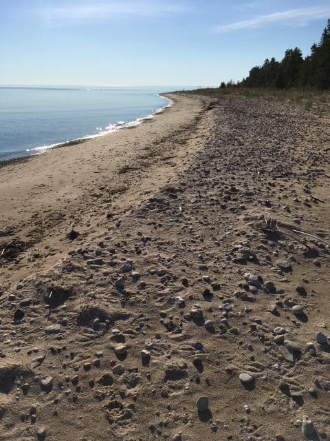 Beach Road 21.53acres, Rogers City MI, 49779 land for sale