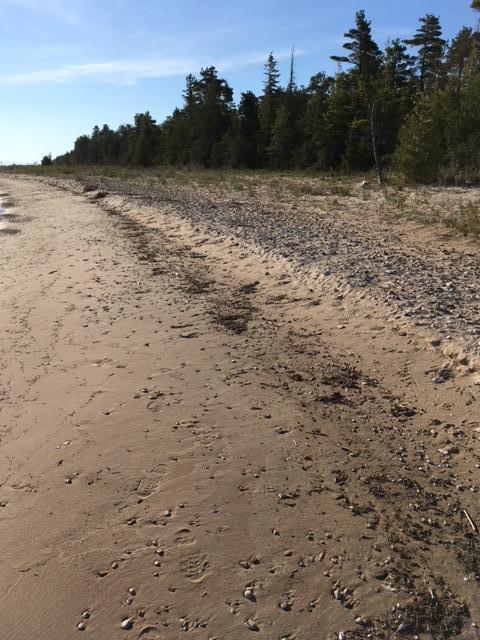 Listing photo 3 for Beach Road 21.53acres, Rogers City MI 49779