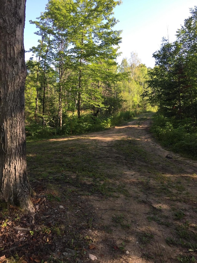 view of local wilderness