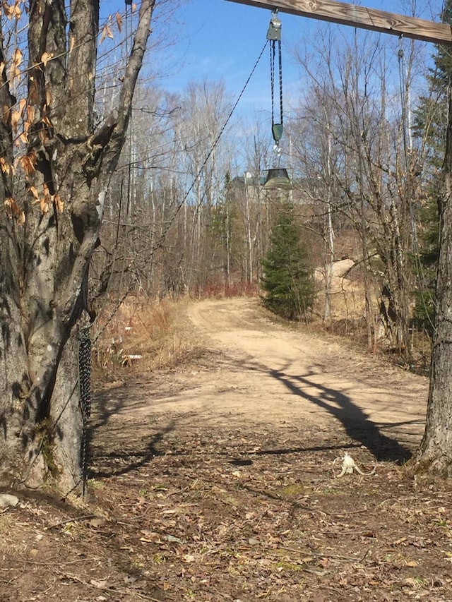 view of local wilderness