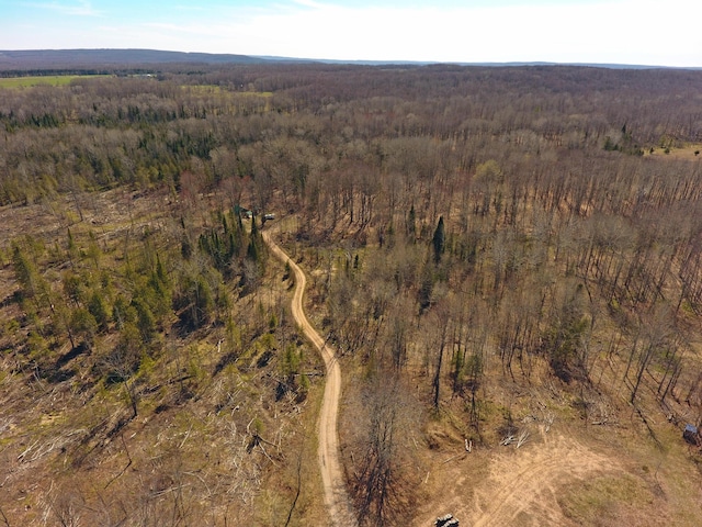 view of drone / aerial view