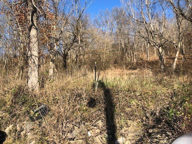 0 Church Aly Unit 0.64Ac, Ripley OH, 45167 land for sale