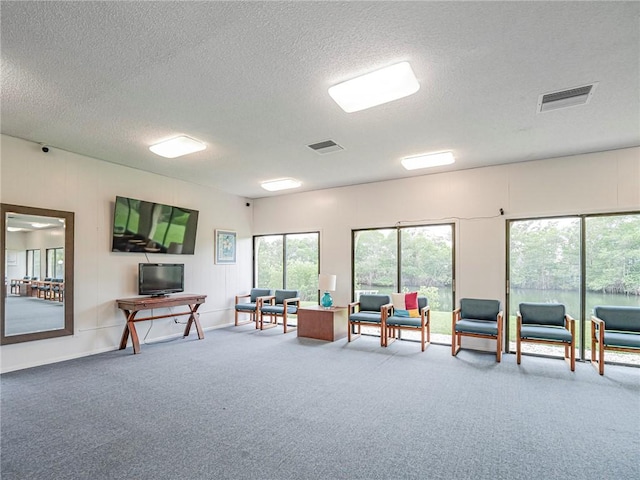 misc room featuring carpet floors and a textured ceiling