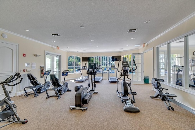 exercise room with crown molding, french doors, and a textured ceiling