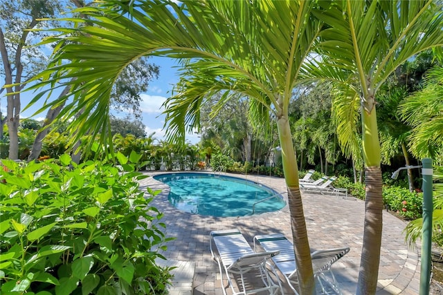 view of swimming pool with a patio