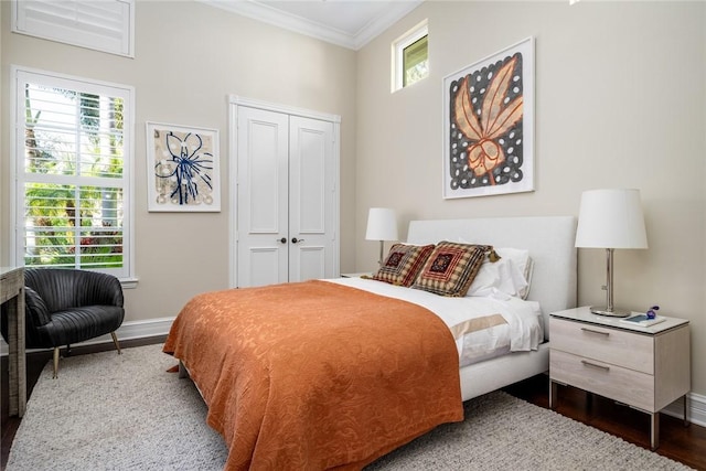 bedroom featuring multiple windows and a closet