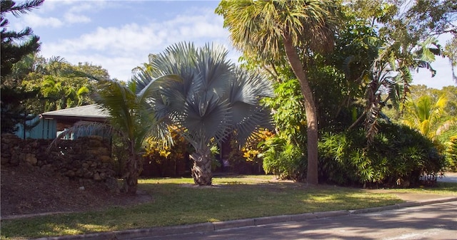 view of home's exterior featuring a lawn