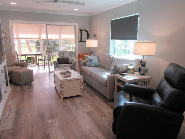 living room featuring light hardwood / wood-style floors, ceiling fan, and ornamental molding