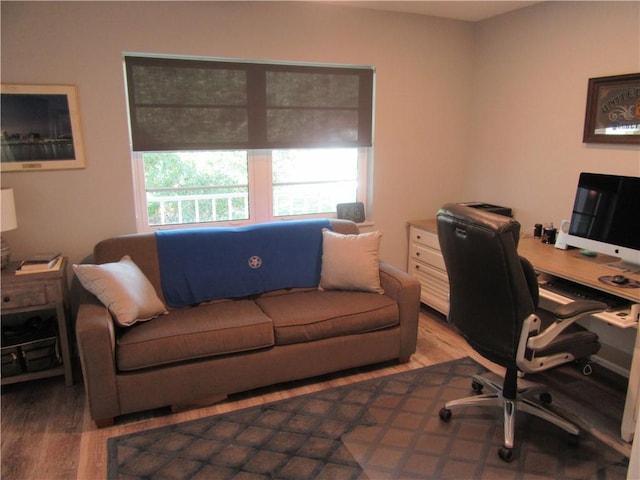 home office with hardwood / wood-style flooring