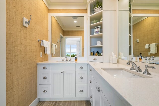 bathroom featuring wood-type flooring and vanity