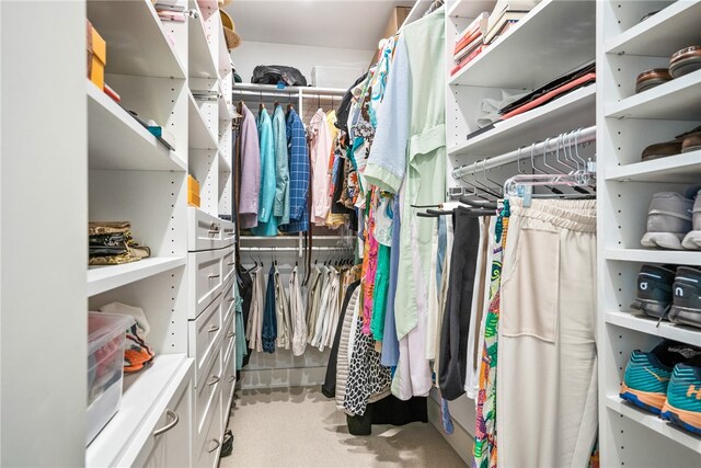 spacious closet featuring light colored carpet