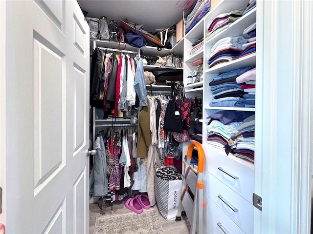 view of walk in closet
