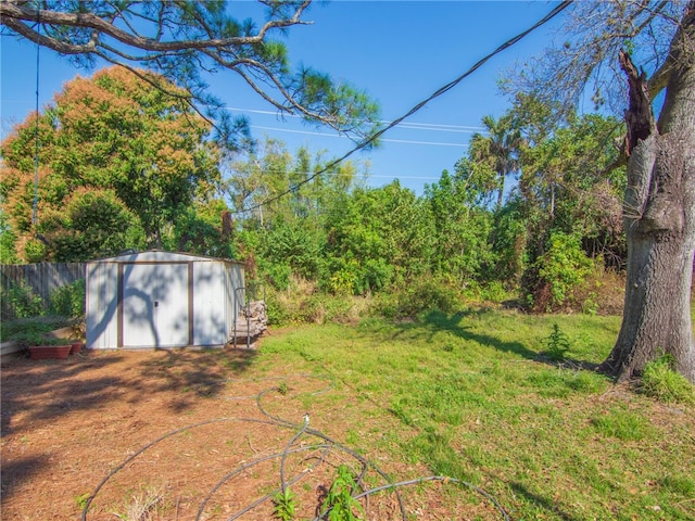 view of yard with a shed