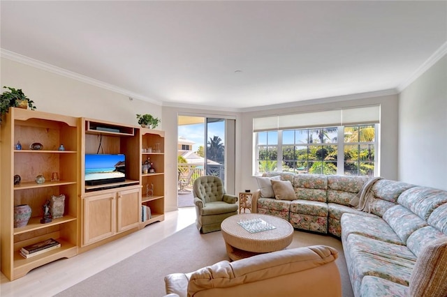 living area with ornamental molding