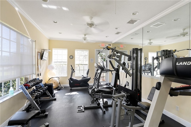 workout area featuring crown molding, ceiling fan, and a healthy amount of sunlight