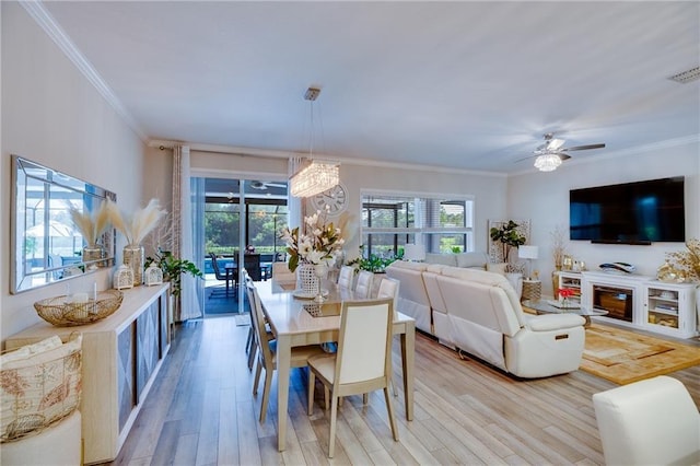 dining area with ceiling fan with notable chandelier, light hardwood / wood-style floors, and crown molding